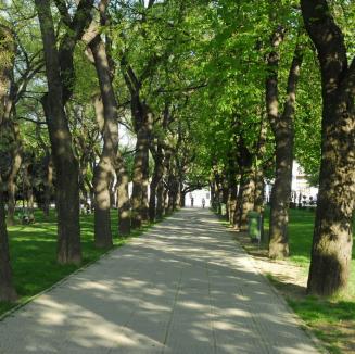 Oradea face inventarul verde